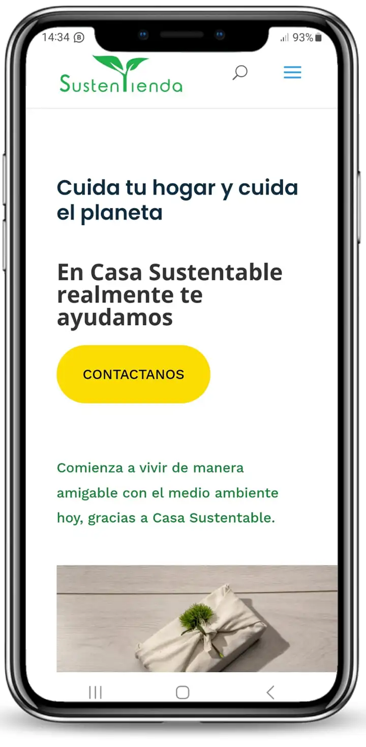 Página Web Carrusel 3cel